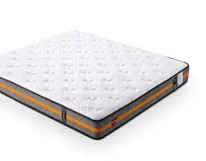 佛罗伦萨聚集多少杰出人才