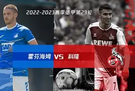 霍芬海姆vs比勒