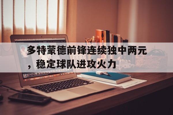 多特蒙德球员阵容