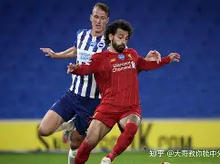 莱红牛对海登海姆 莱红牛对海登海姆