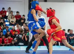 浙江队在哪 浙江队在哪