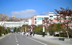 青岛黄海阵容2021 青岛黄海阵容2021