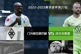 沃尔夫斯堡足球队